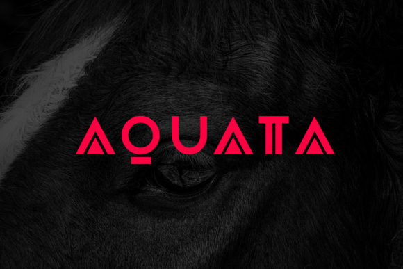 Aquata: A Modern Sans Serif Font for Editorial Clarity