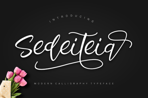Sedeiteia: A Bold Handwritten Font for Crafters and Product Creators
